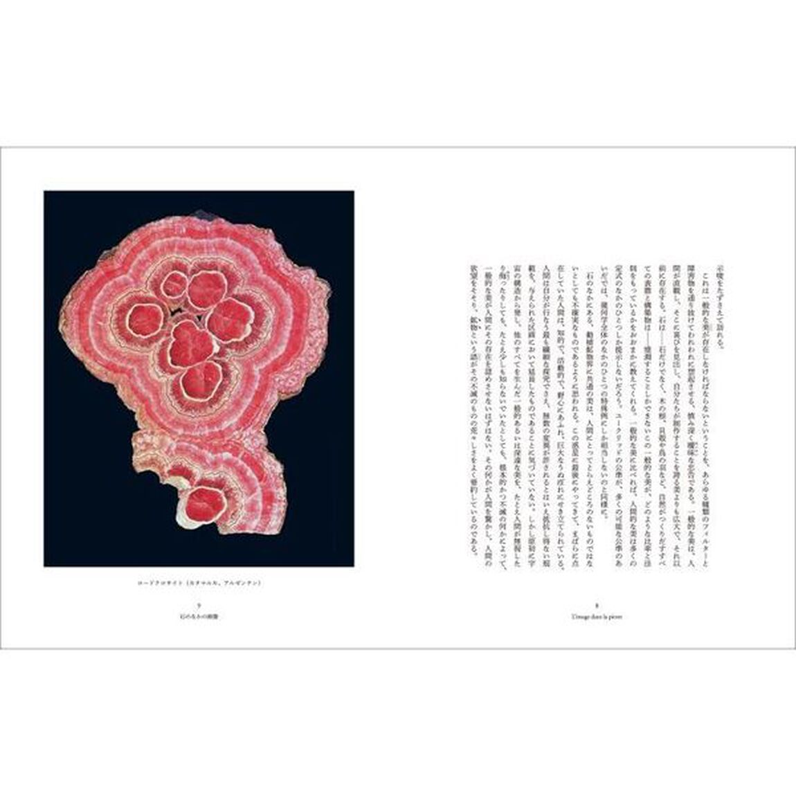 石が書く