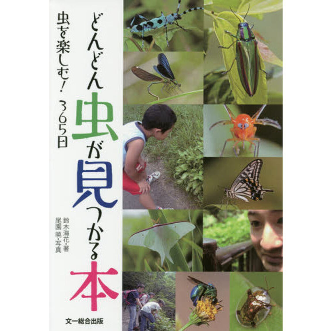 どんどん虫が見つかる本　虫を楽しむ！３６５日
