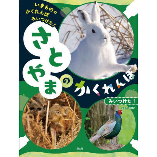 いきもののかくれんぼみいつけた！　〔４〕「さとやまのかくれんぼみいつけた！」