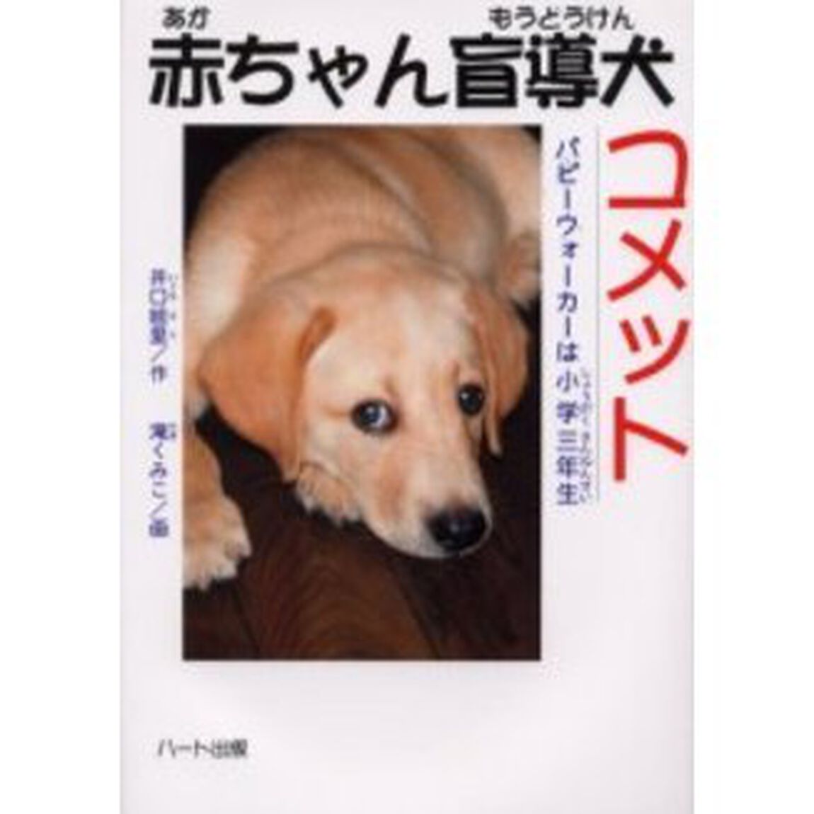 赤ちゃん盲導犬コメット　パピーウォーカーは小学三年生