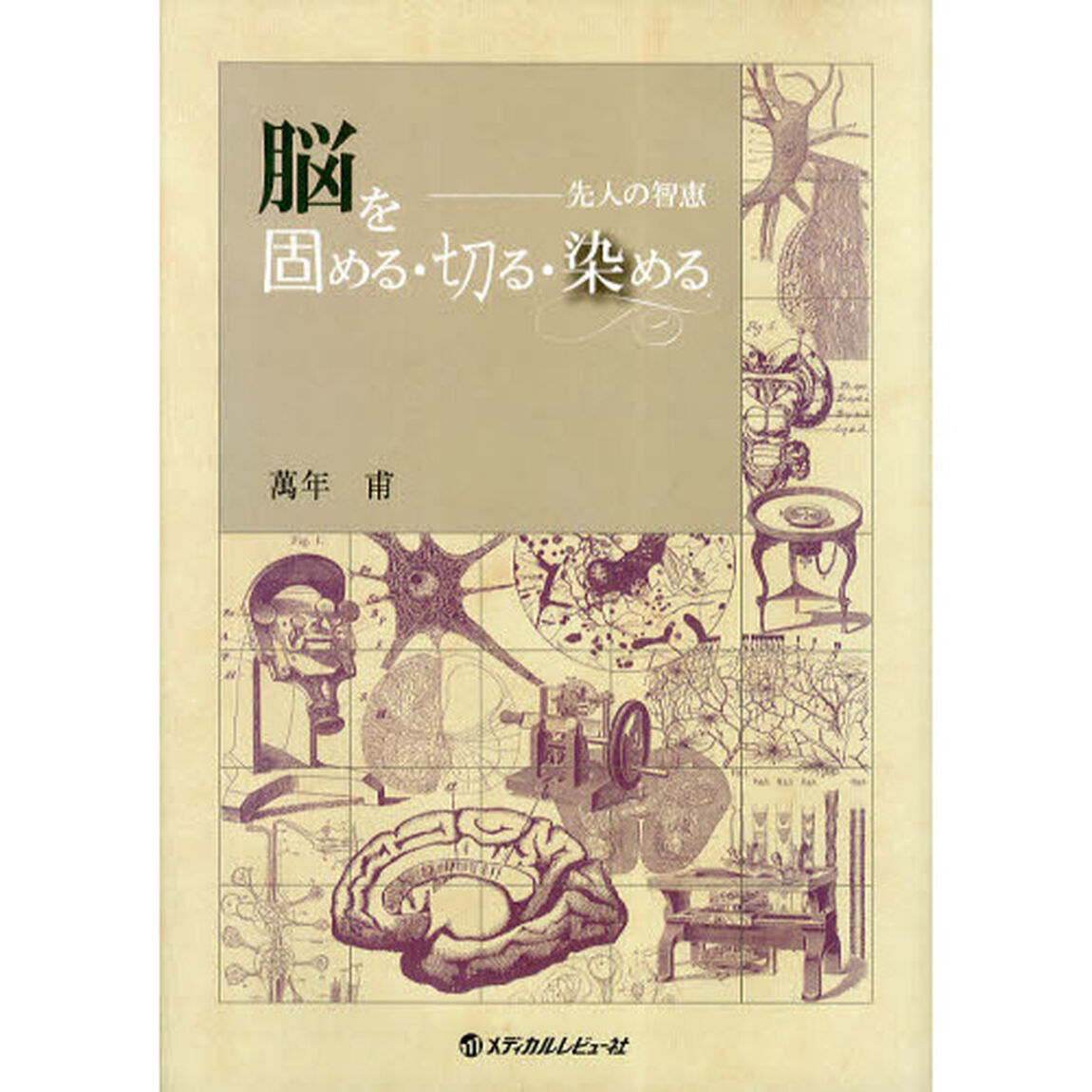 脳を固める・切る・染める　先人の智恵