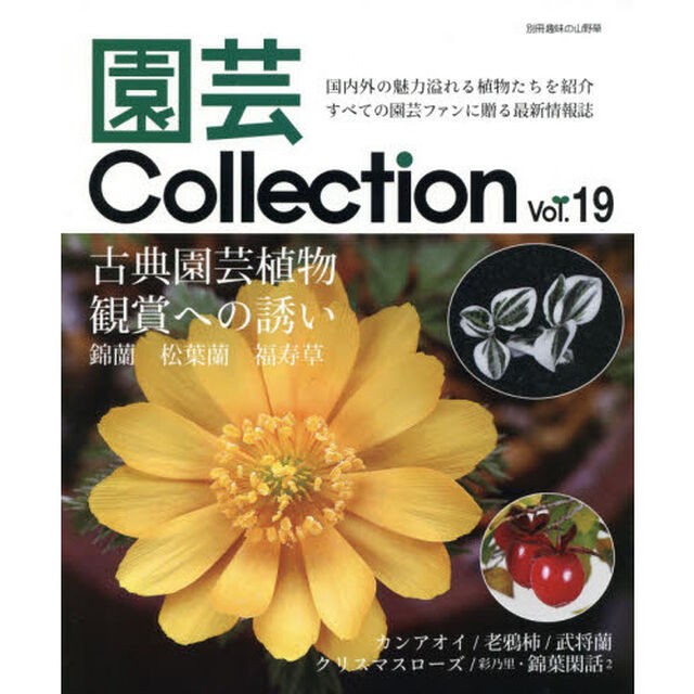 園芸Ｃｏｌｌｅｃｔｉｏｎ　Ｖｏｌ．１９「古典園芸植物　錦蘭　松葉蘭　福寿草　カンアオイ　老鴉柿　武将蘭」