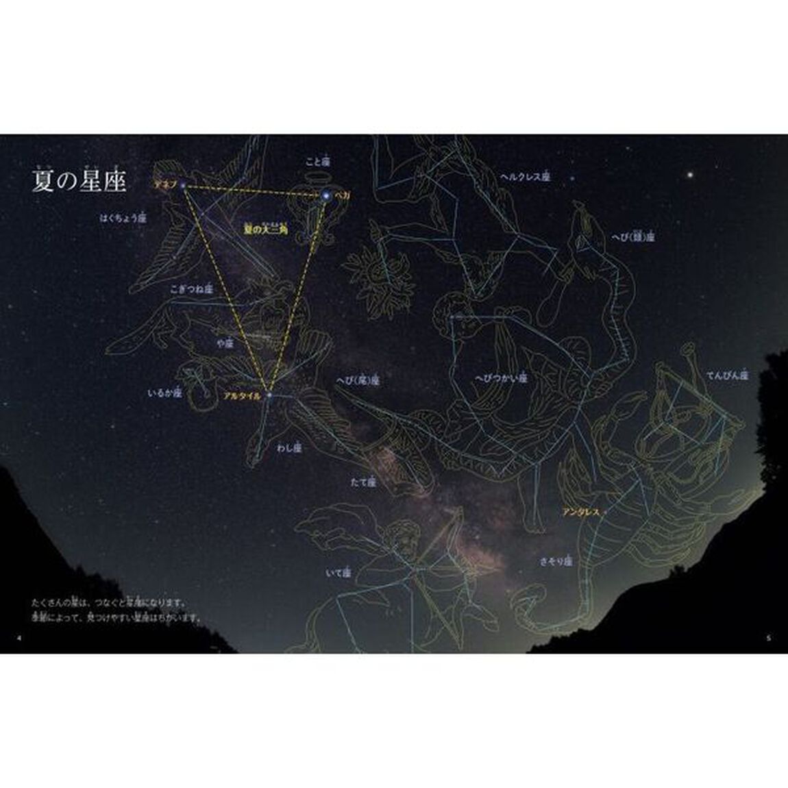 夏の星と星座　夏の星と星座の動きがわかる