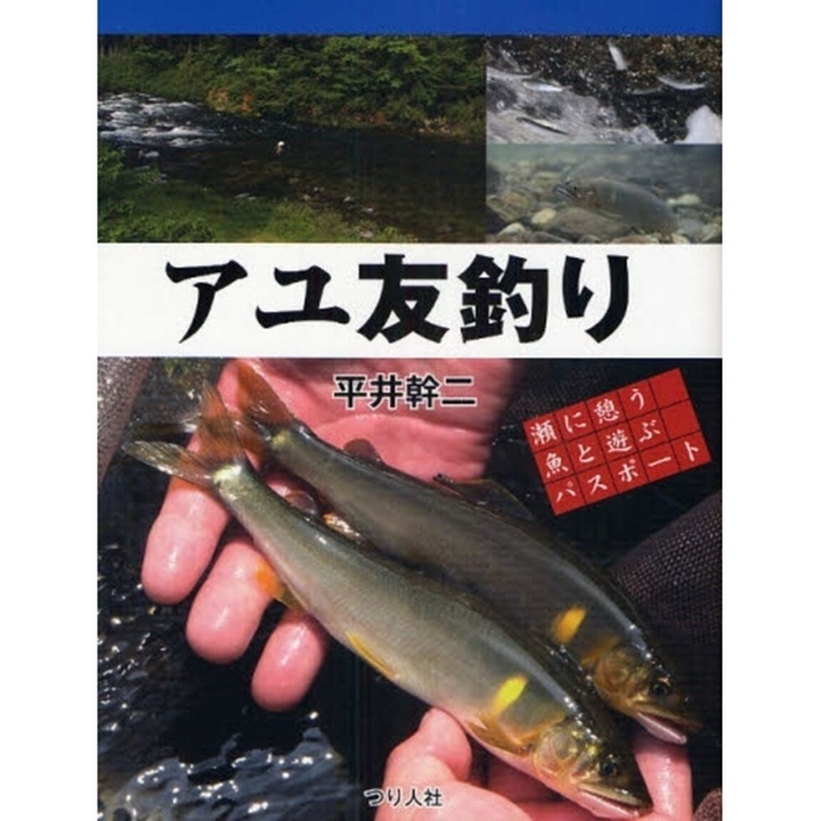 アユ友釣り
