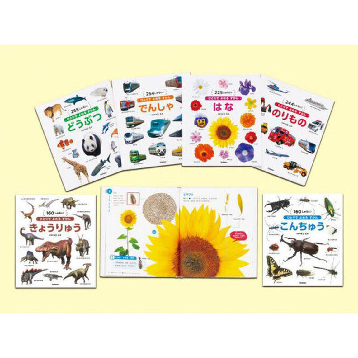 ひとりでよめるずかんシリーズ　６巻セット