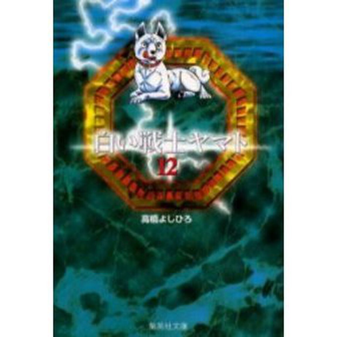白い戦士ヤマト　１２