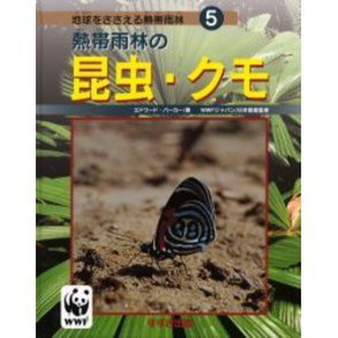 地球をささえる熱帯雨林　５「熱帯雨林の昆虫・クモ　原書名：Ｒａｉｎｆｏｒｅｓｔ　ｉｎｓｅｃｔｓ　ａｎｄ　ｓｐｉｄｅｒｓ」