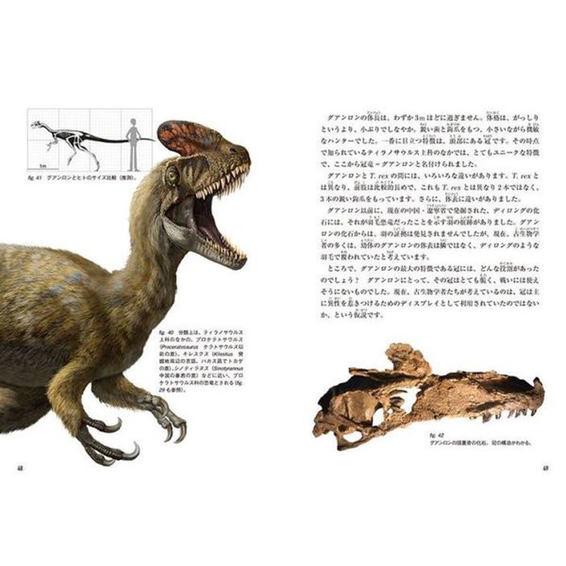 ＴＹＲＡＮＮＯＰＥＤＩＡ　ティラノサウルス最新一族大図鑑