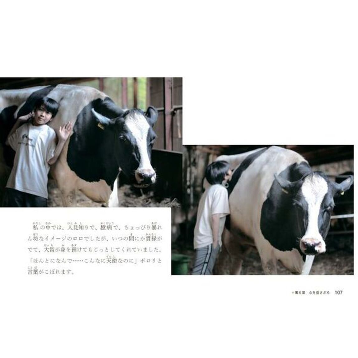 牛がおしえてくれたこと