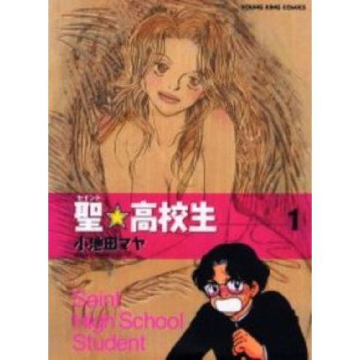 聖☆高校生　全巻セット　（全11巻）