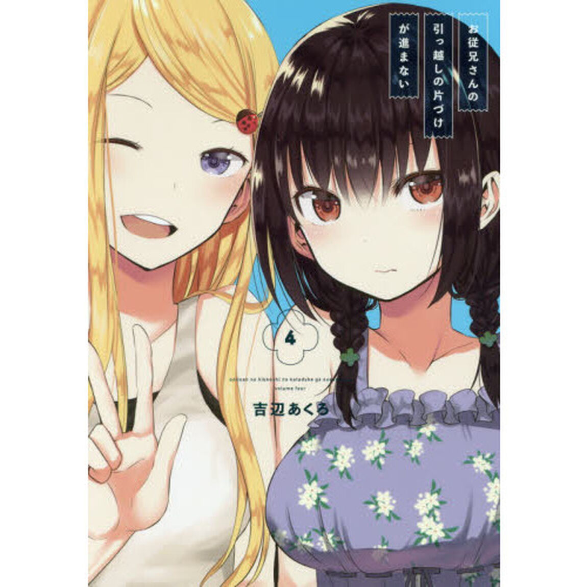 お従兄さんの引っ越しの片づけが進まない 4
