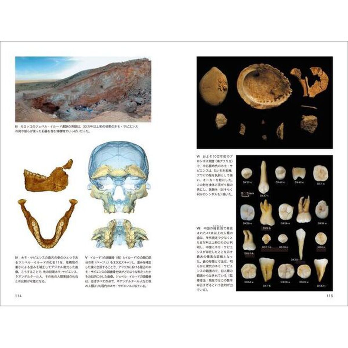 ホモ・サピエンス再発見　科学が書き換えた人類の進化