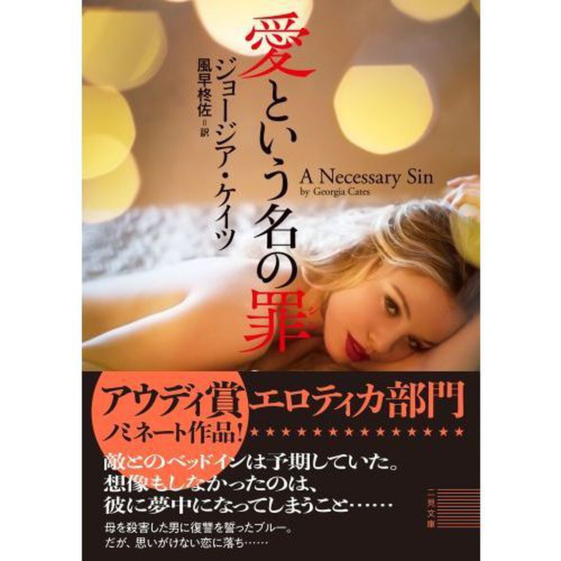 愛という名の罪（シン）