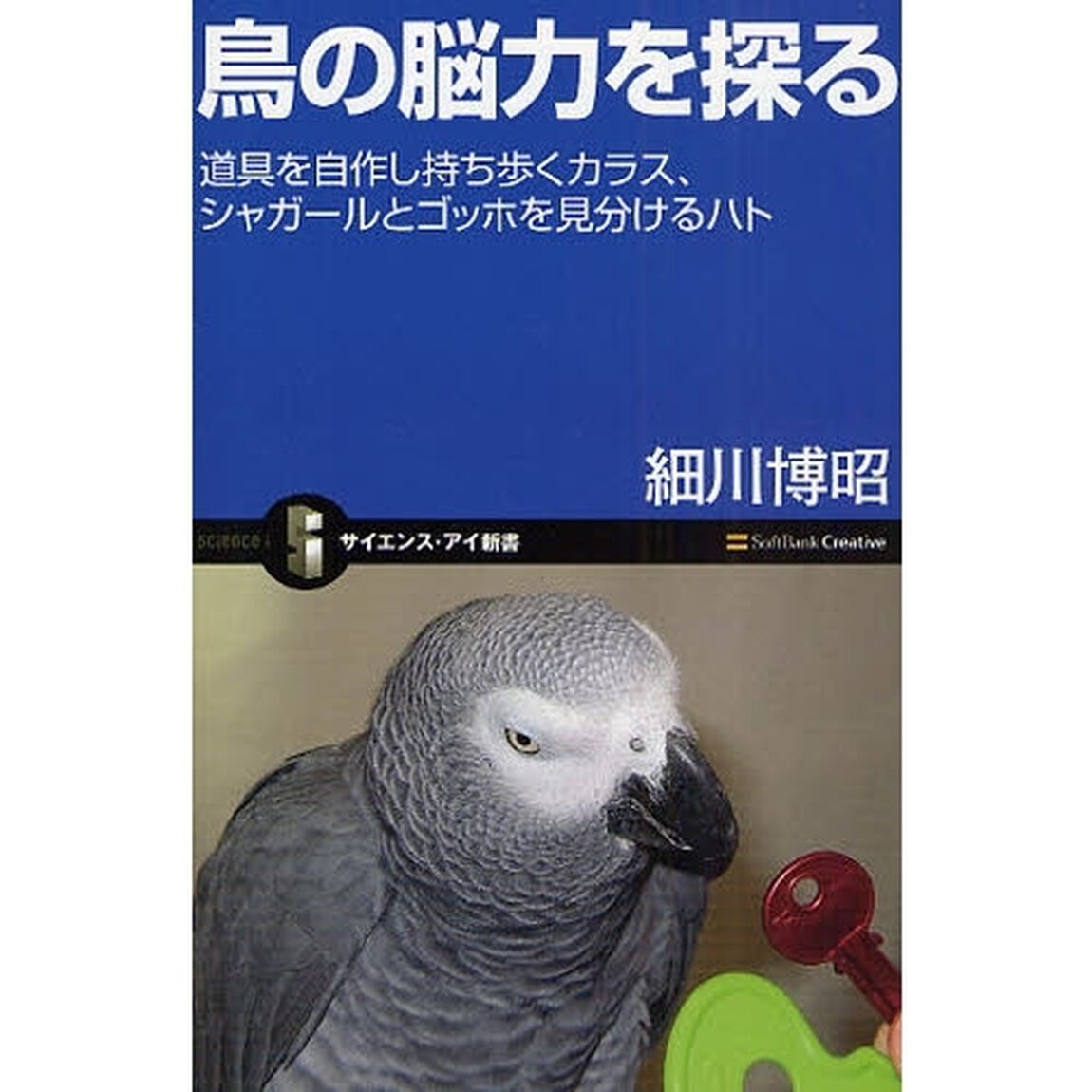 鳥の脳力を探る　道具を自作し持ち歩くカラス、シャガールとゴッホを見分けるハト