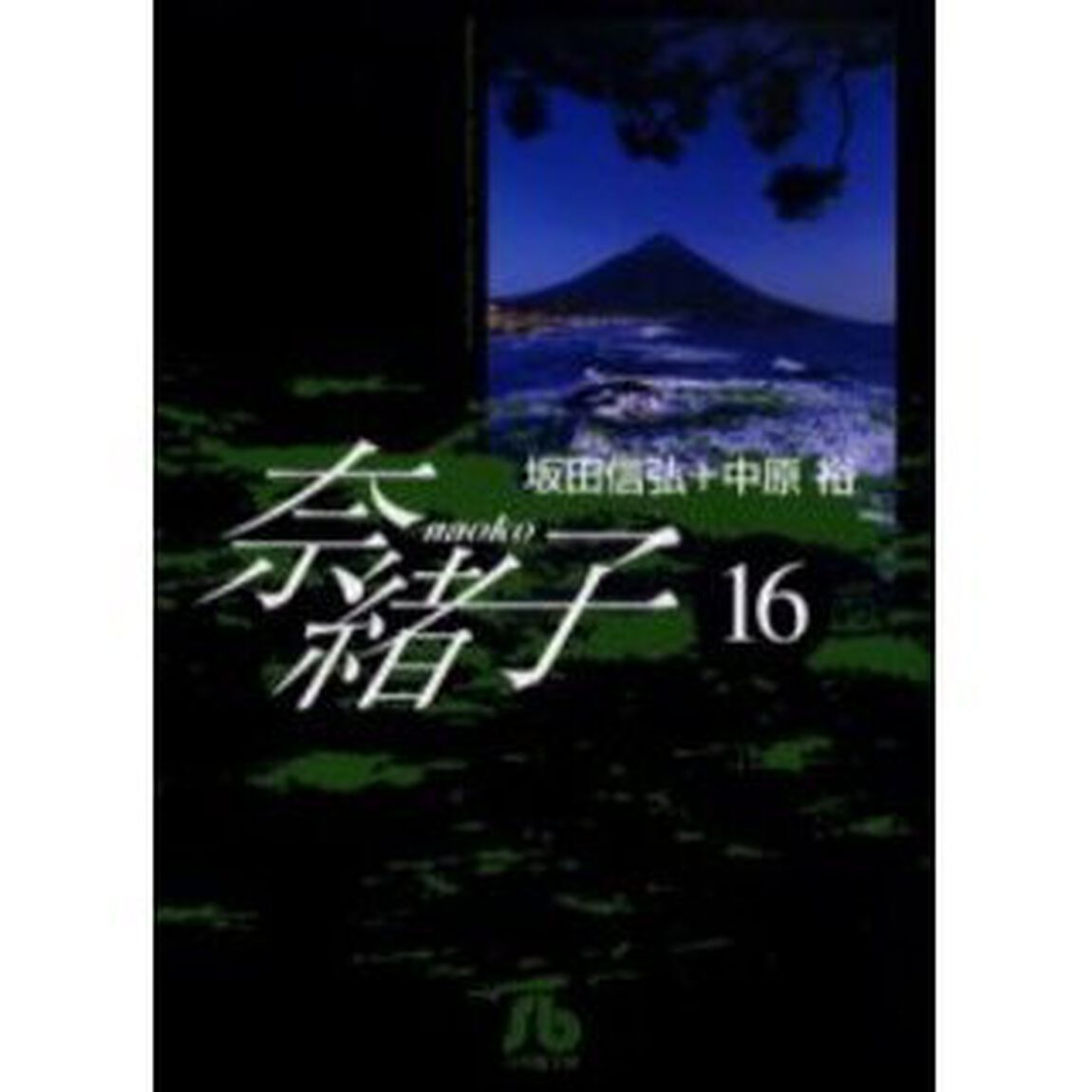 奈緒子　１６