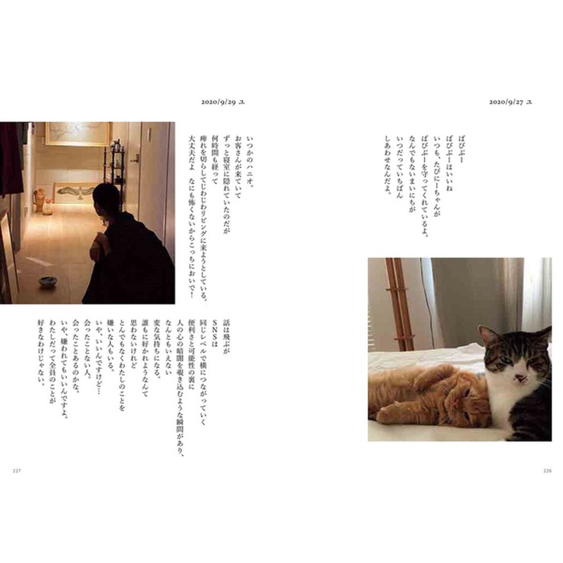 ハニオ日記　３「2019-2021」
