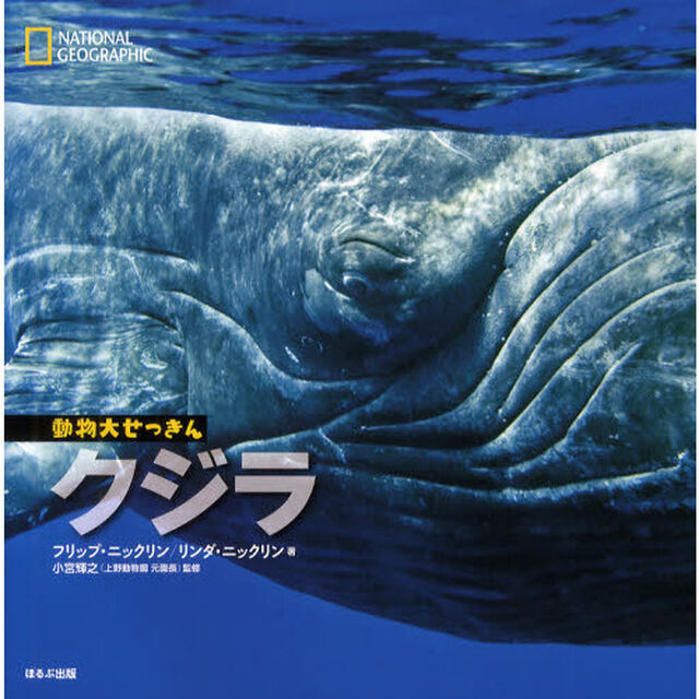 クジラ