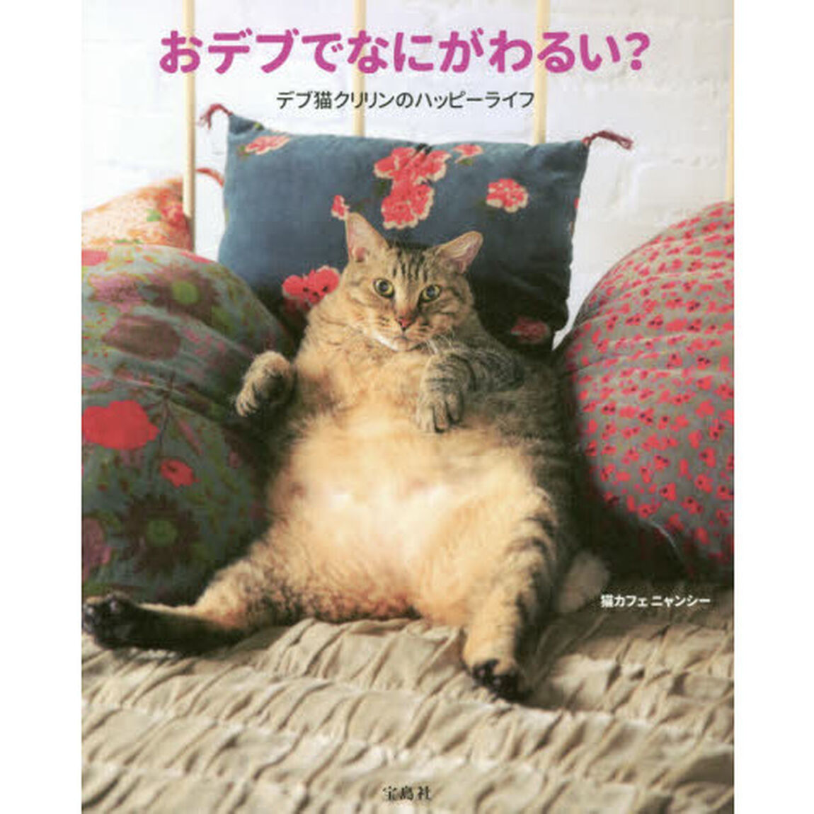 おデブでなにがわるい? デブ猫クリリンのハッピーライフ