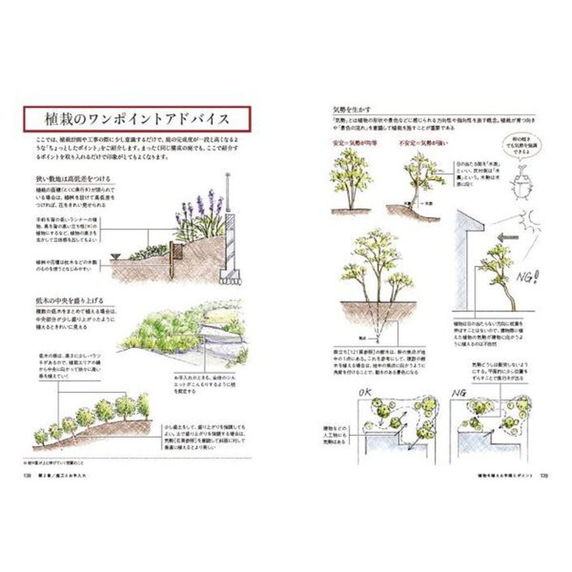 植栽