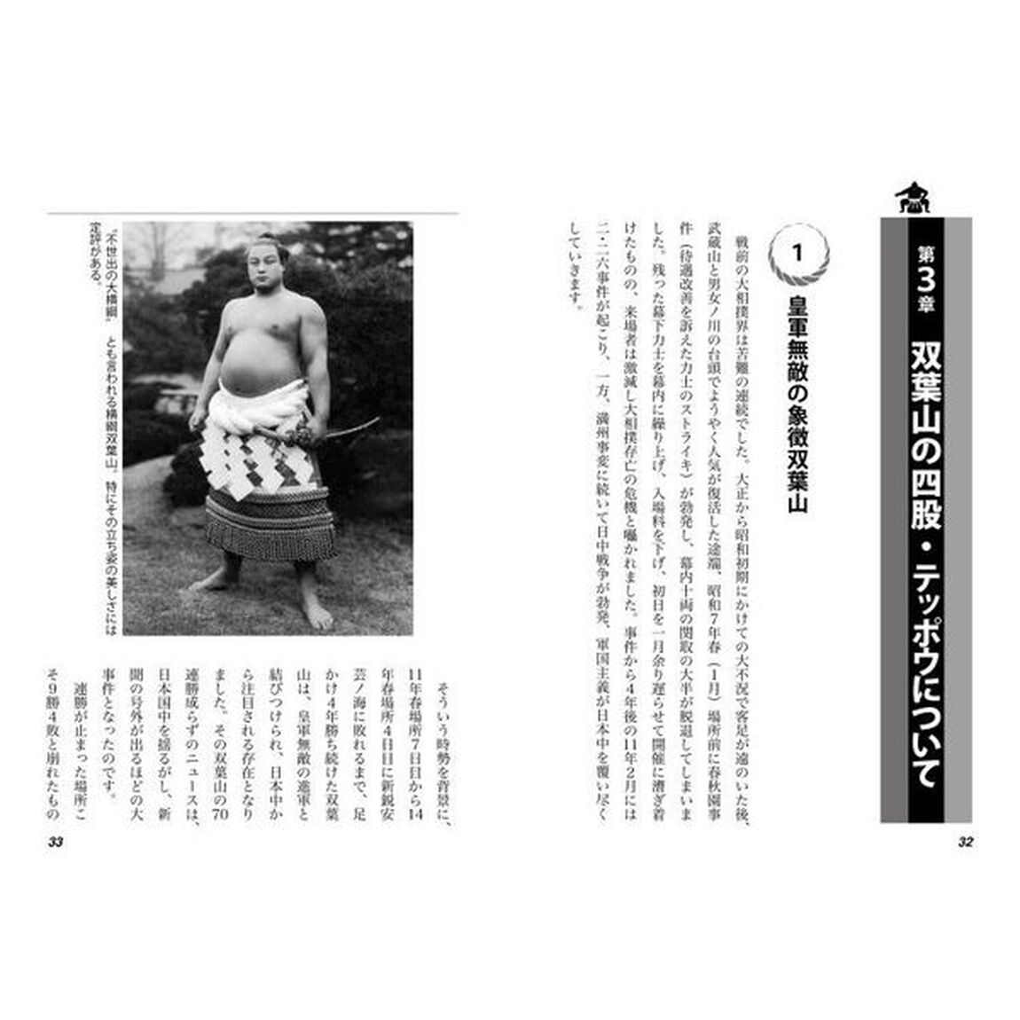 相撲の力学　神技のカラクリ