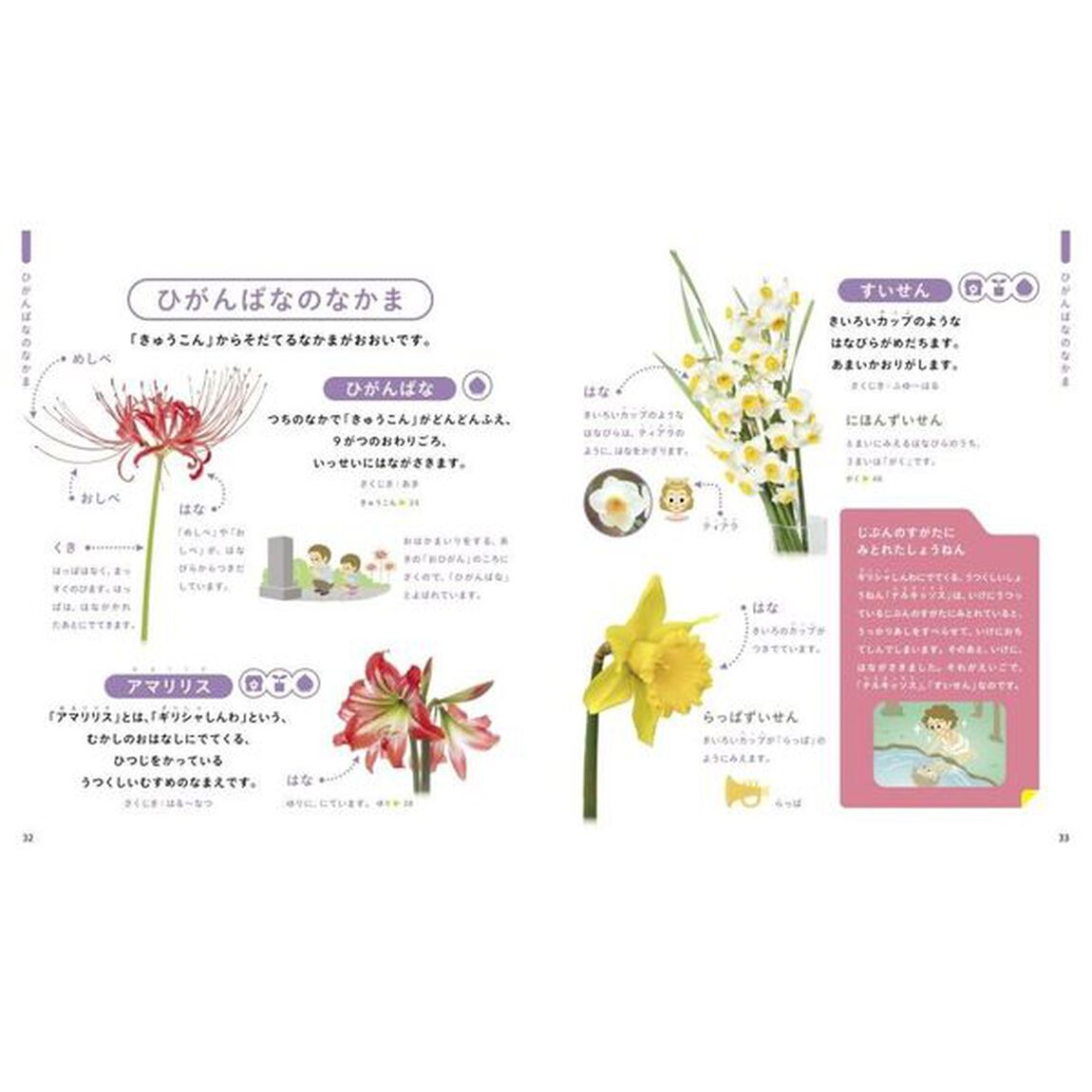 じぶんでよめるはなずかん　はなとそのなかま１６２