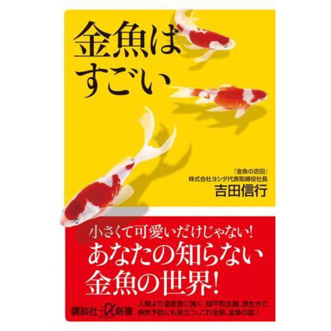 金魚はすごい