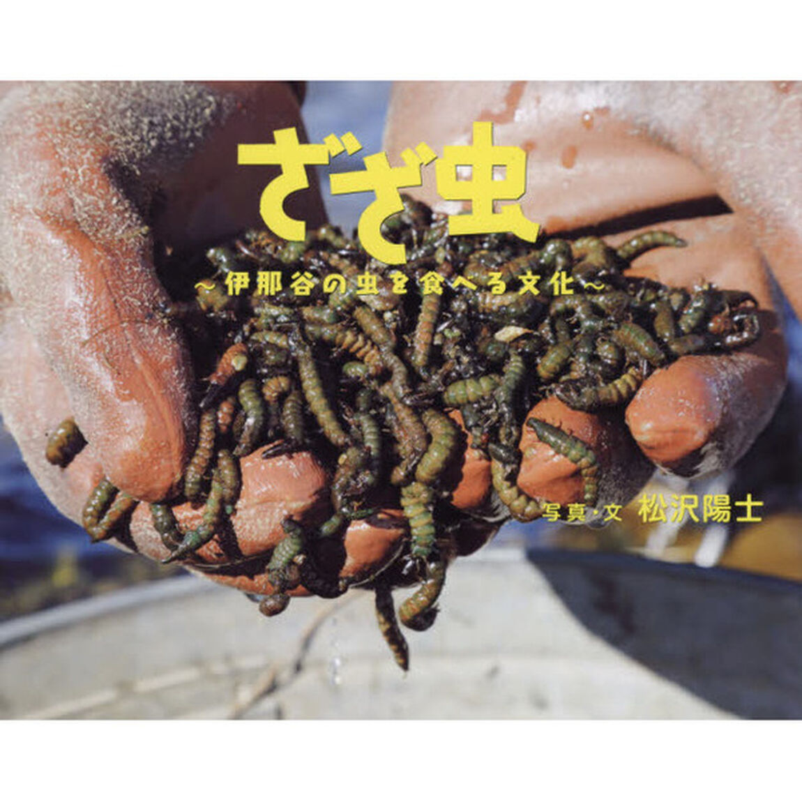 ざざ虫　伊那谷の虫を食べる文化