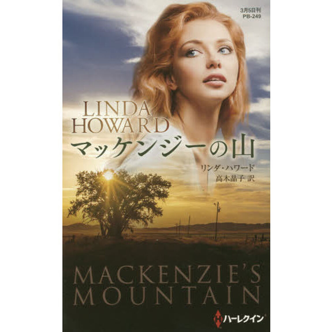 マッケンジーの山