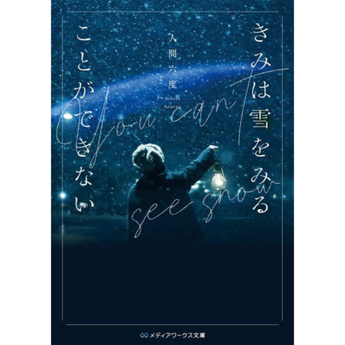きみは雪をみることができない