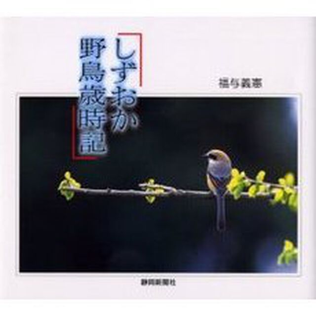 しずおか野鳥歳時記