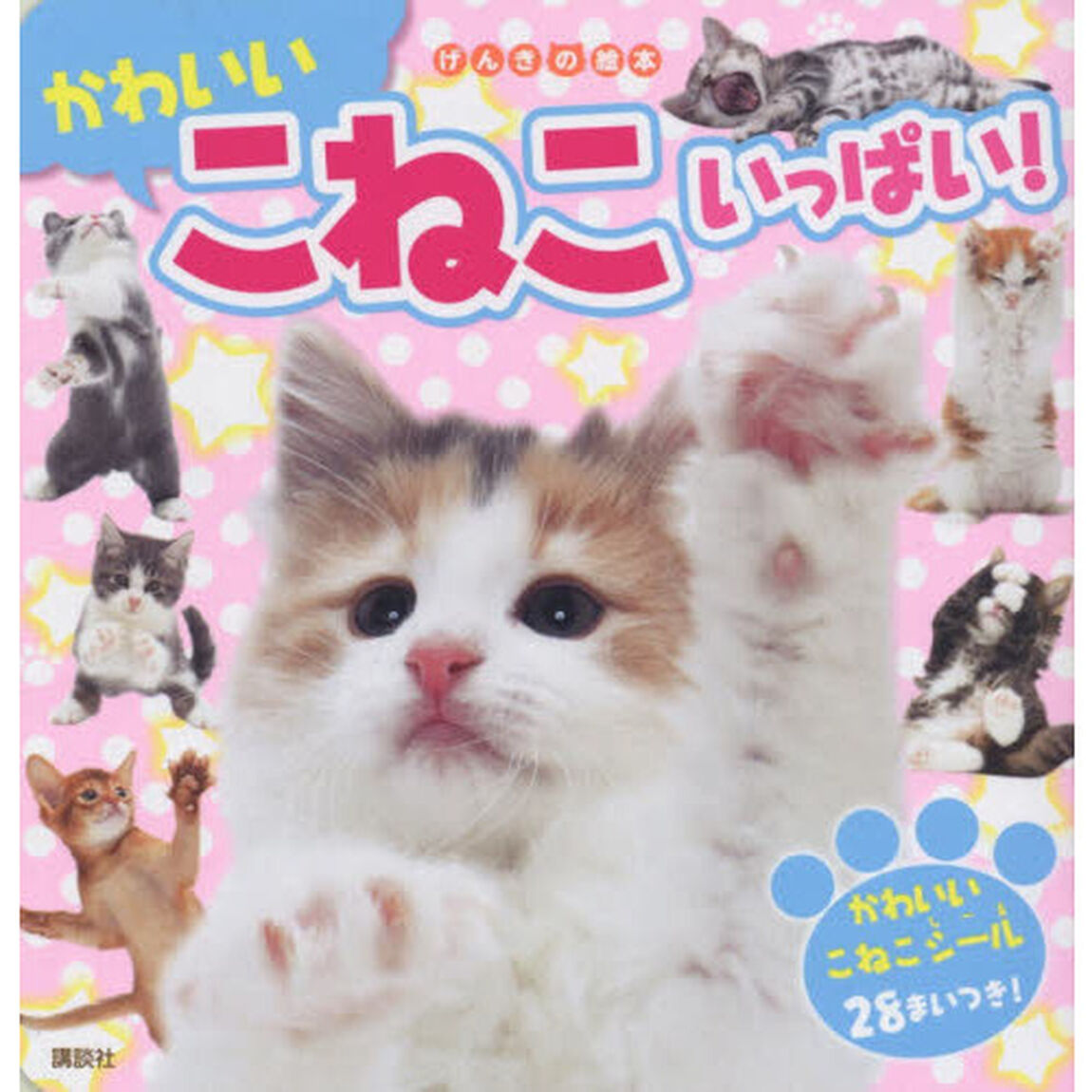かわいいこねこいっぱい！