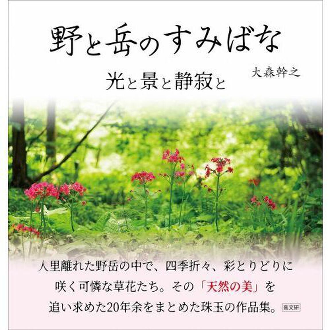 野と岳（やま）のすみばな　光と景と静寂と