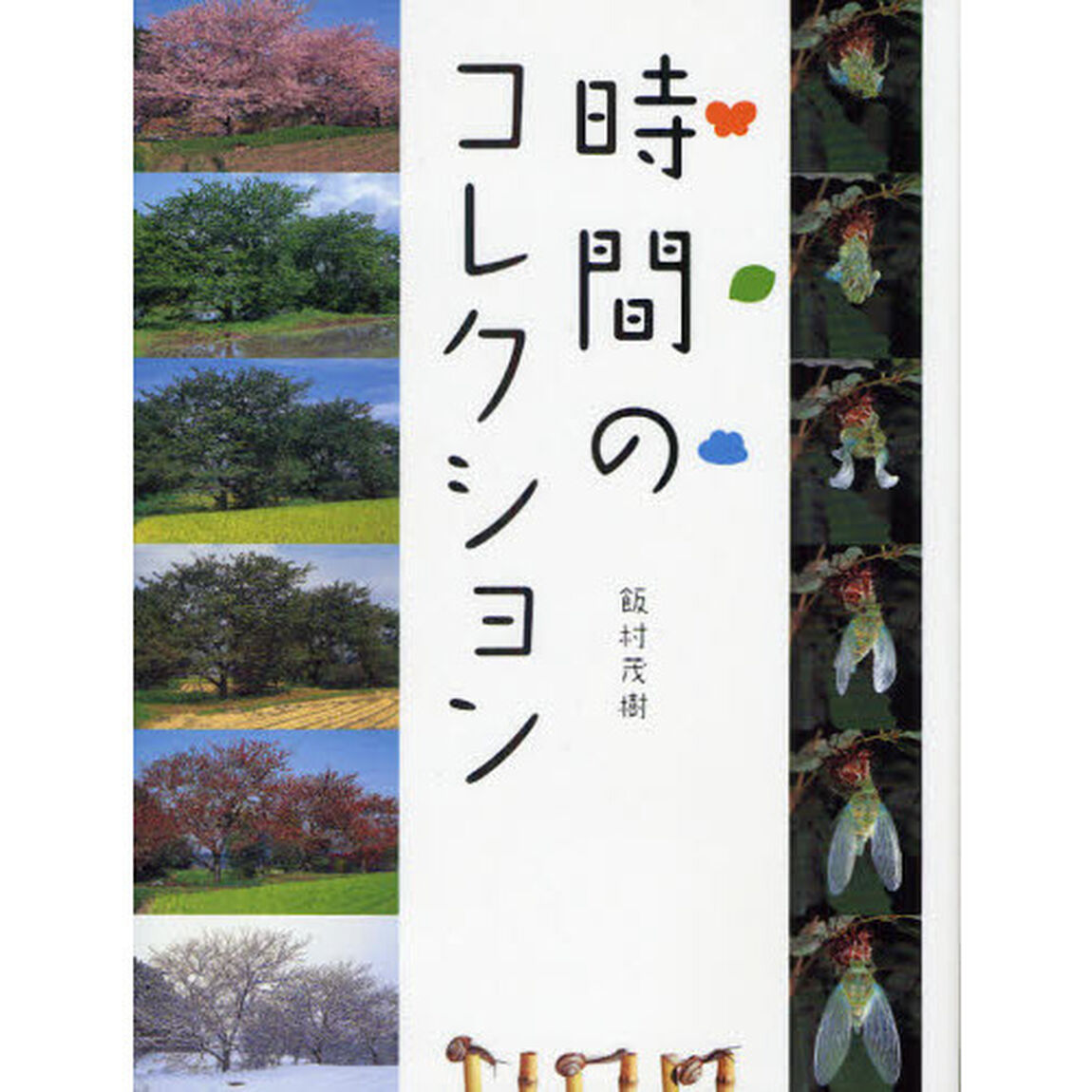 時間のコレクション