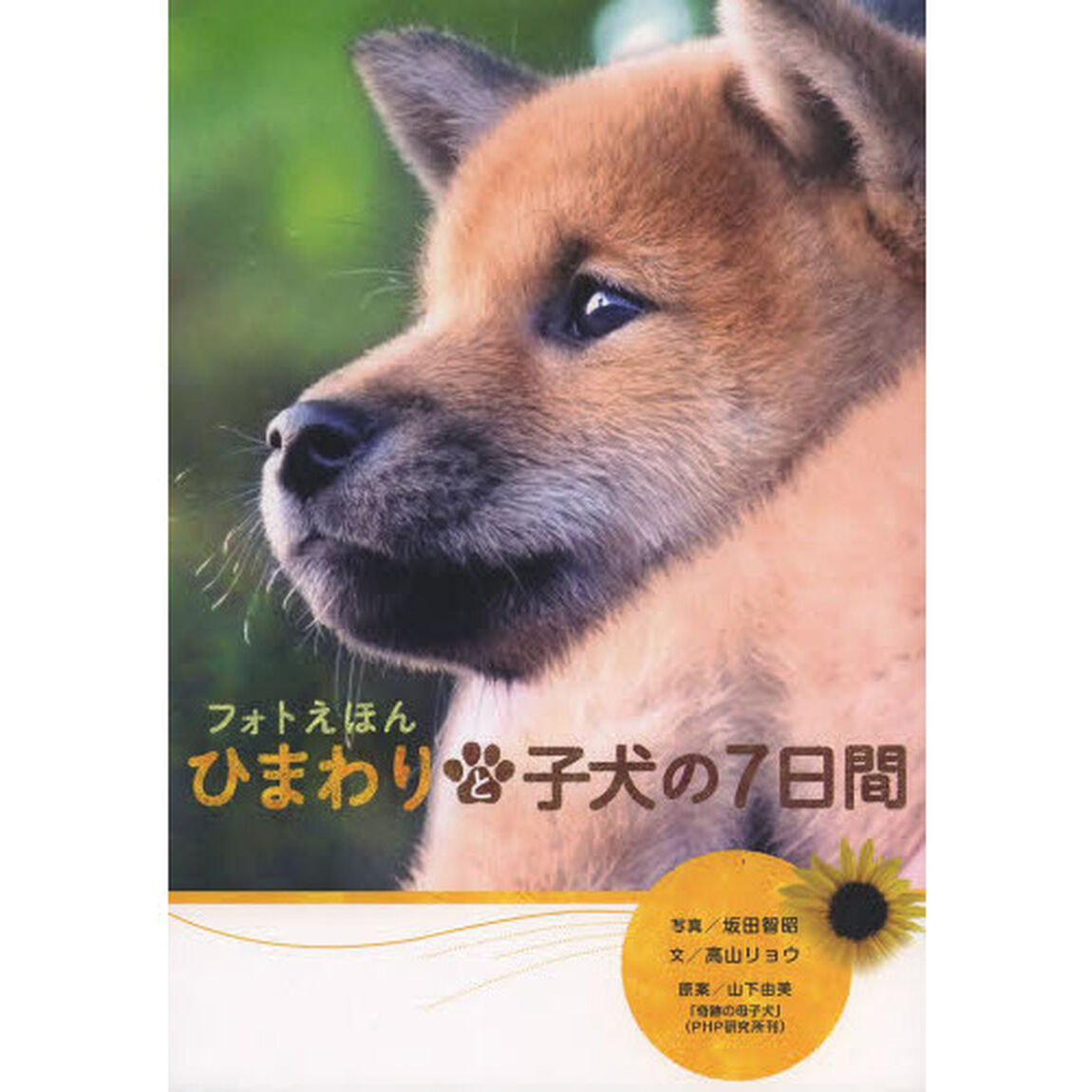 ひまわりと子犬の７日間　フォトえほん