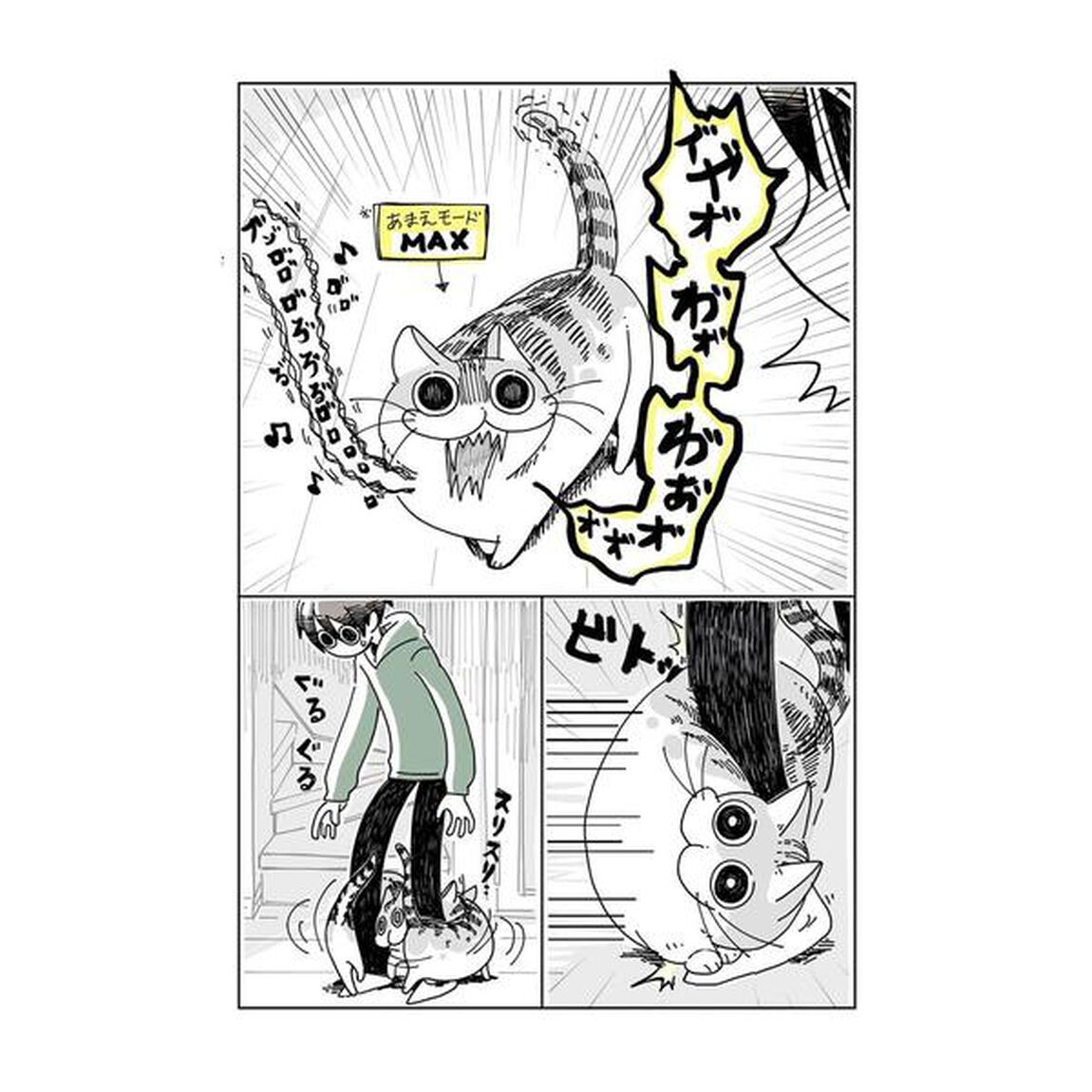 夜は猫といっしょ　１