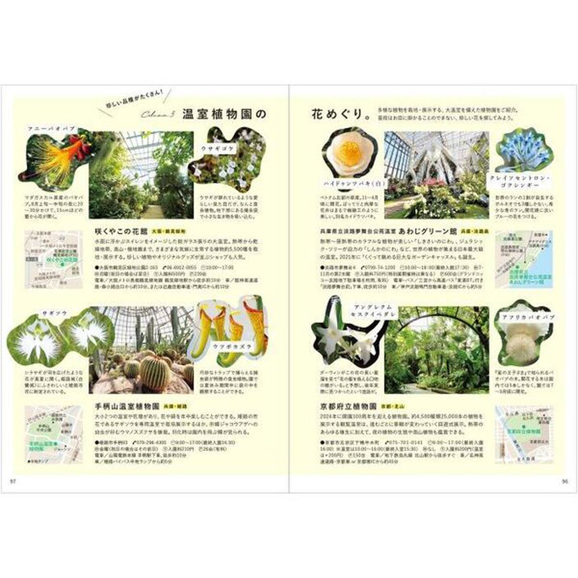関西花のおでかけ　〔２０２３〕