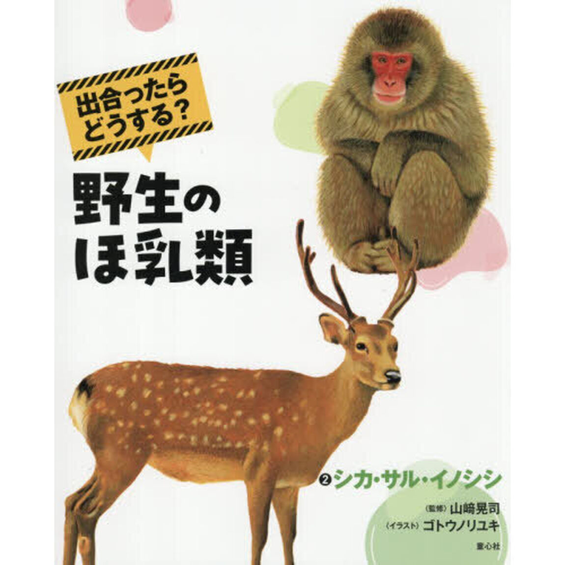 出合ったらどうする？野生のほ乳類　２「シカ・サル・イノシシ」