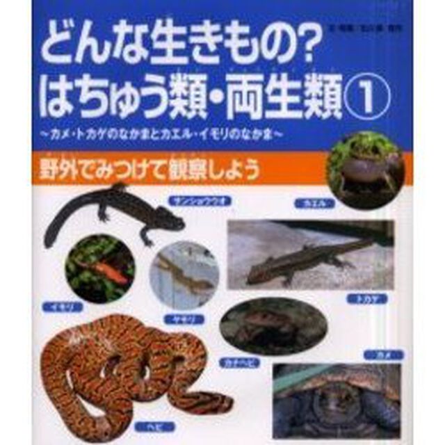 どんな生きもの？はちゅう類・両生類　カメ・トカゲのなかまとカエル・イモリのなかま　１「野外でみつけて観察しよう」