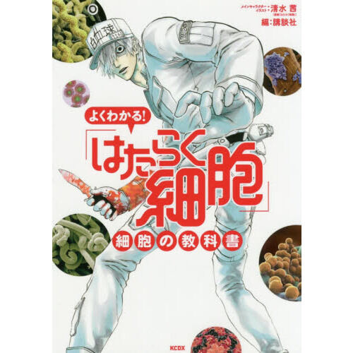 よくわかる！「はたらく細胞」細胞の教科書 - 通販｜セブンネット
