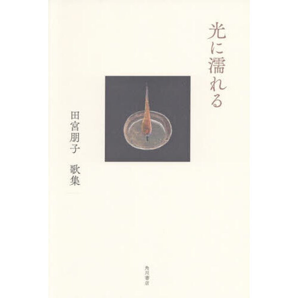 歌集　光に濡れる