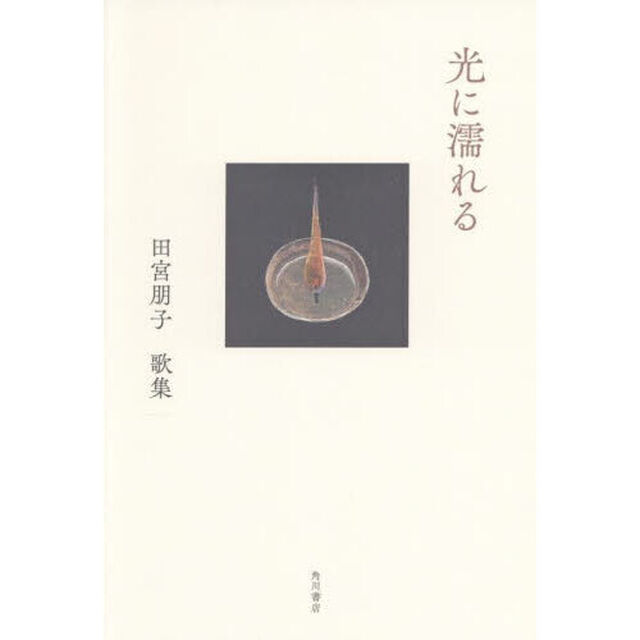 歌集　光に濡れる