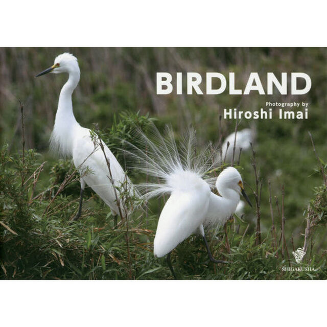 ＢＩＲＤＬＡＮＤ