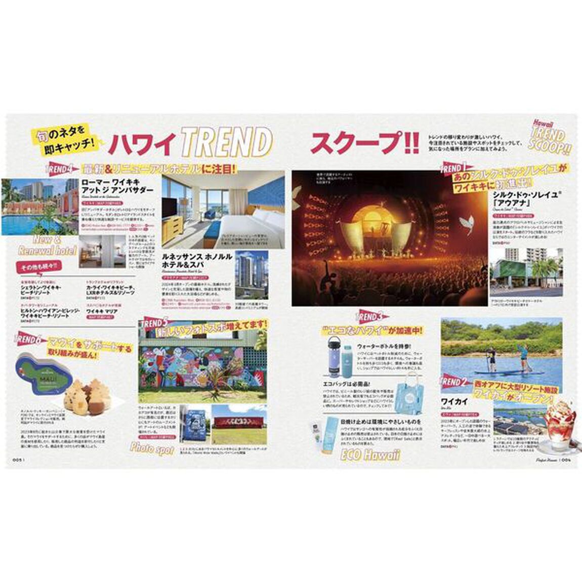 ハワイ完全版　〔２０２５〕