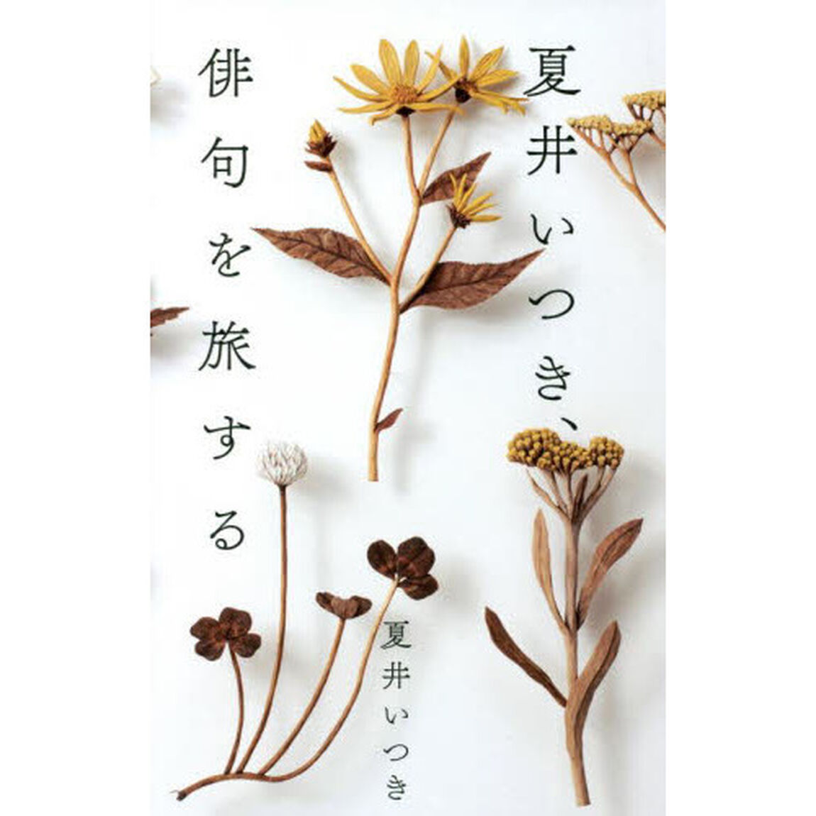 夏井いつき、俳句を旅する