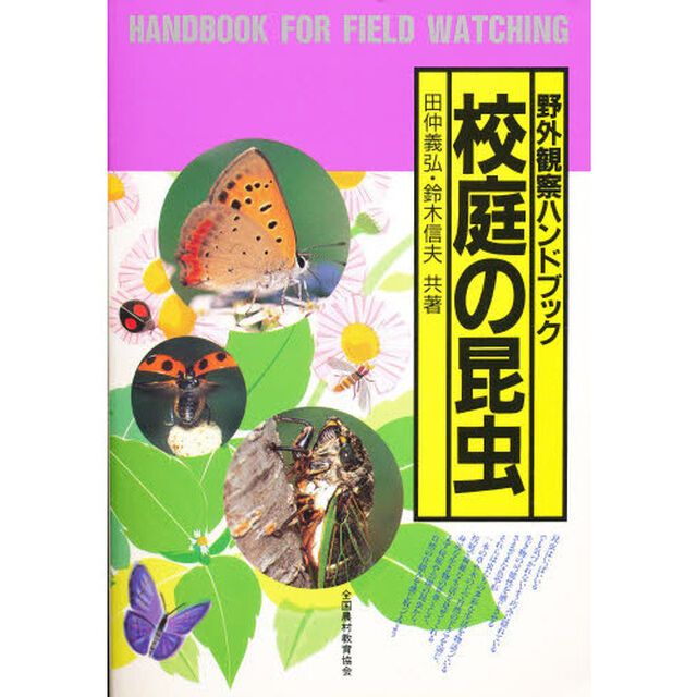 校庭の昆虫