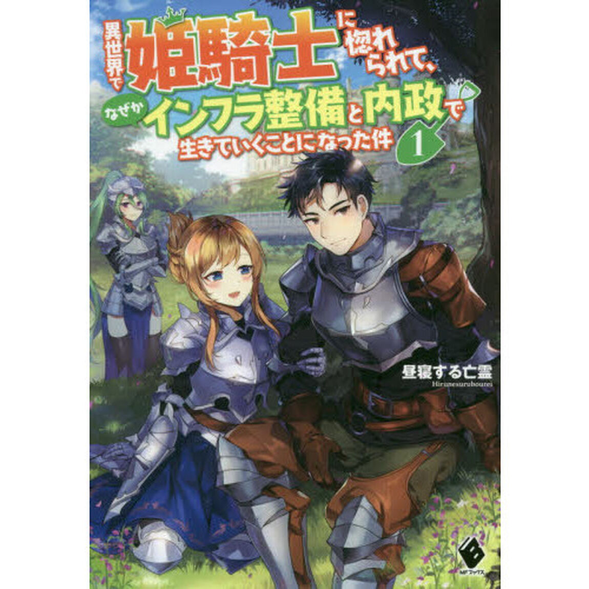 異世界で姫騎士に惚れられて、なぜかインフラ整備と内政で生きていくことになった件　１