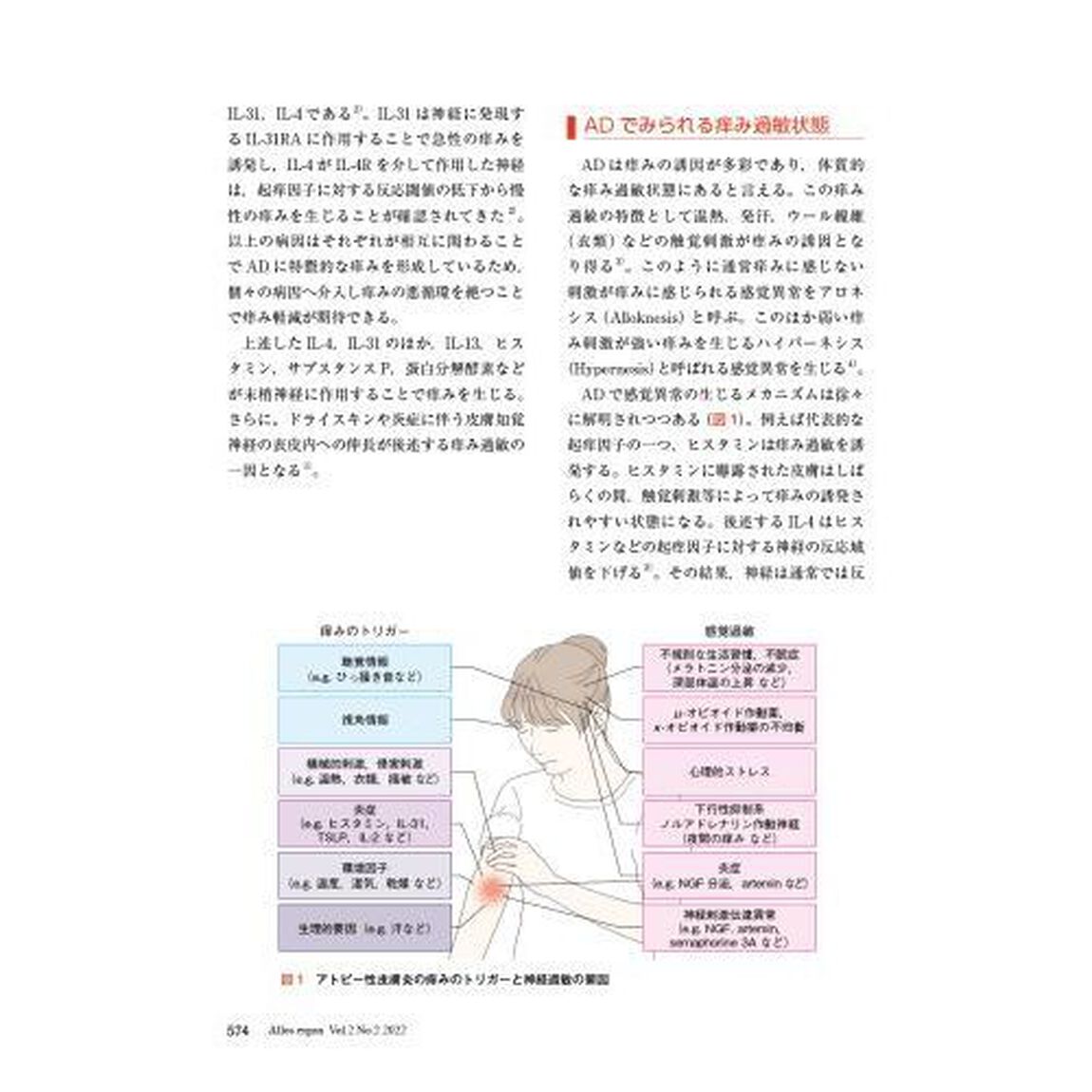 アロスエルゴン　疫学と科学的評価を日常診療に昇華するアレルギー総合情報誌　Ｖｏｌ．２Ｎｏ．２（２０２２）「ここまで変わったアトピー性皮膚炎病態論と治療ＵＰＤＡＴＥ　新しいコンセプトに基づく治療へのアプローチ」