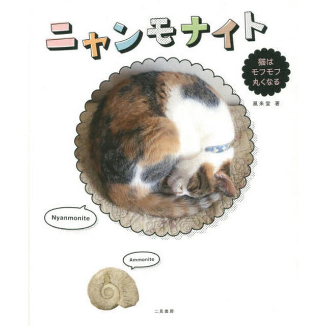 ニャンモナイト　猫はモフモフ丸くなる