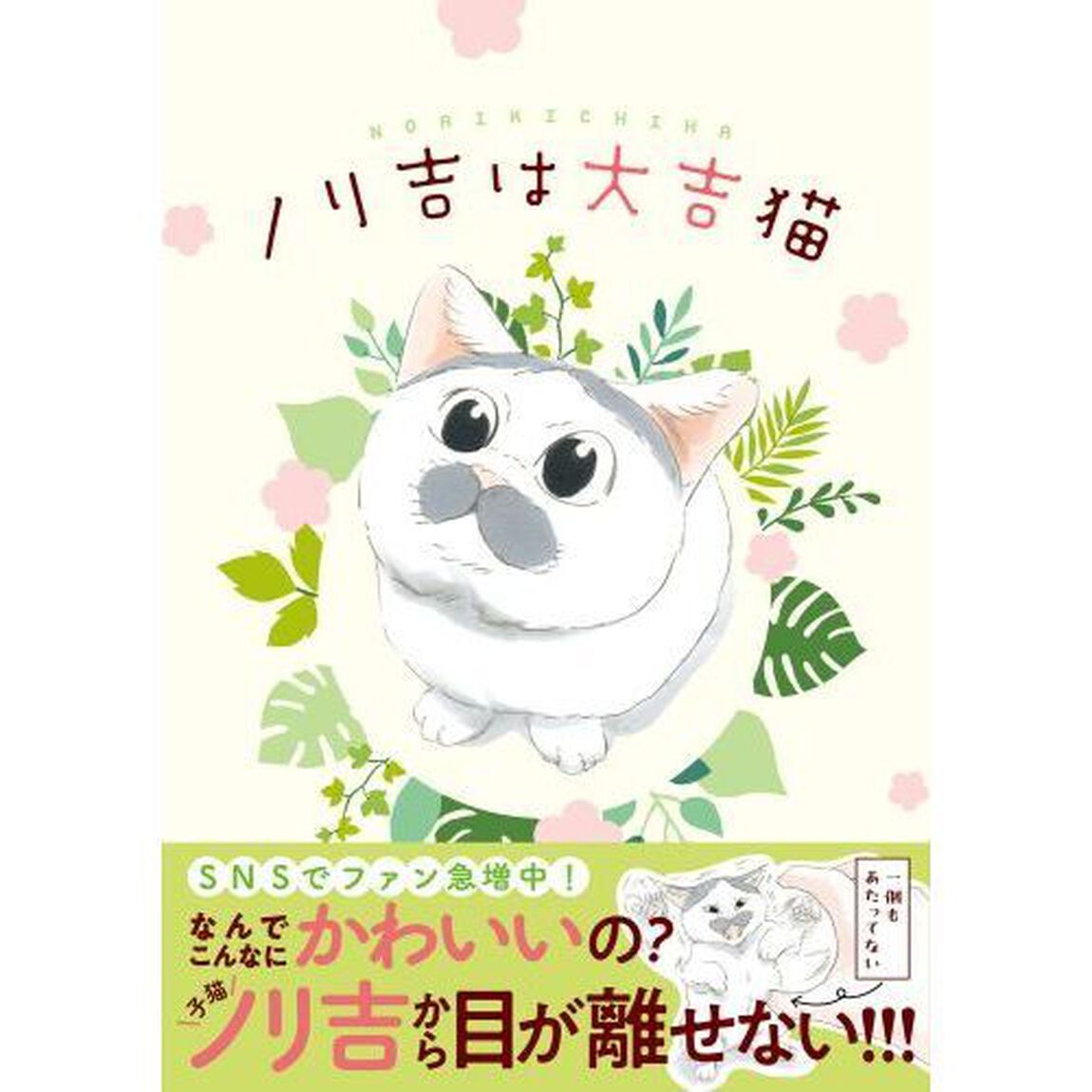 ノリ吉は大吉猫