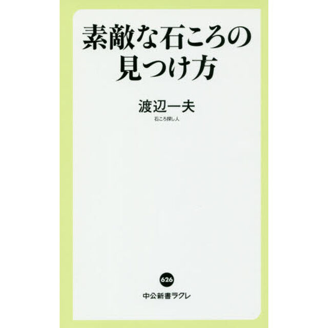 素敵な石ころの見つけ方